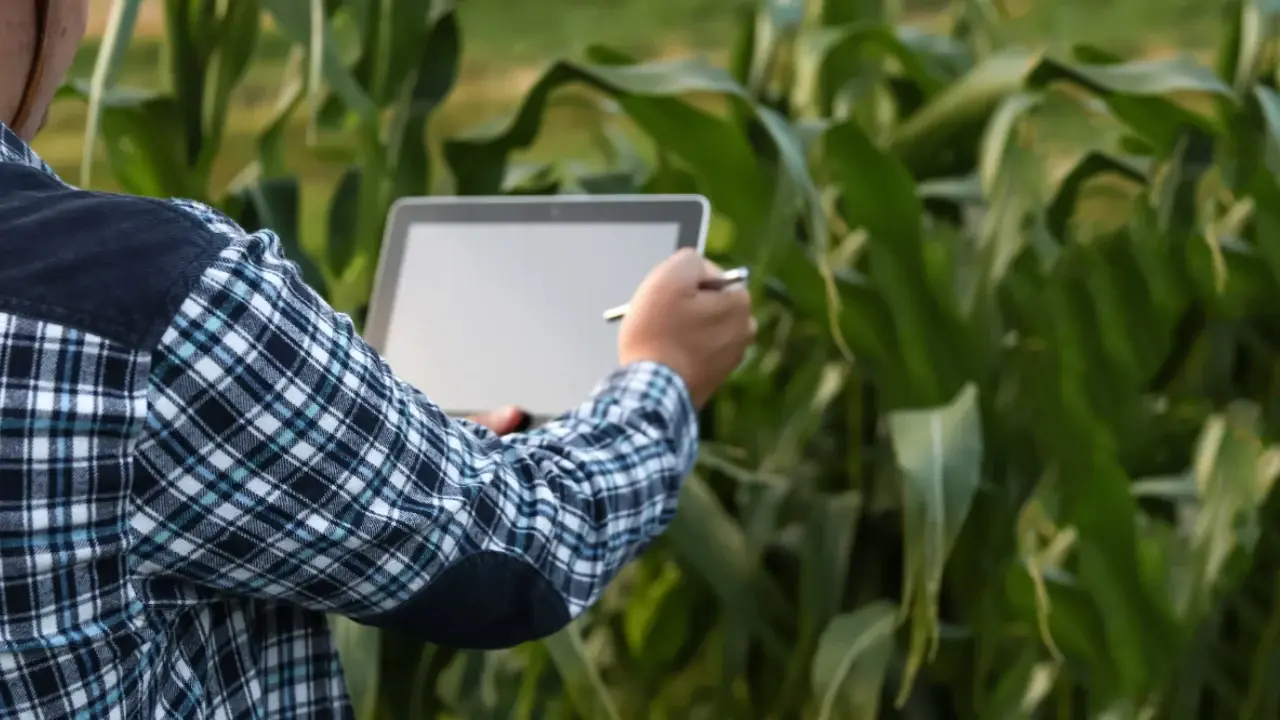 Assinatura de ar-condicionado para feiras agro