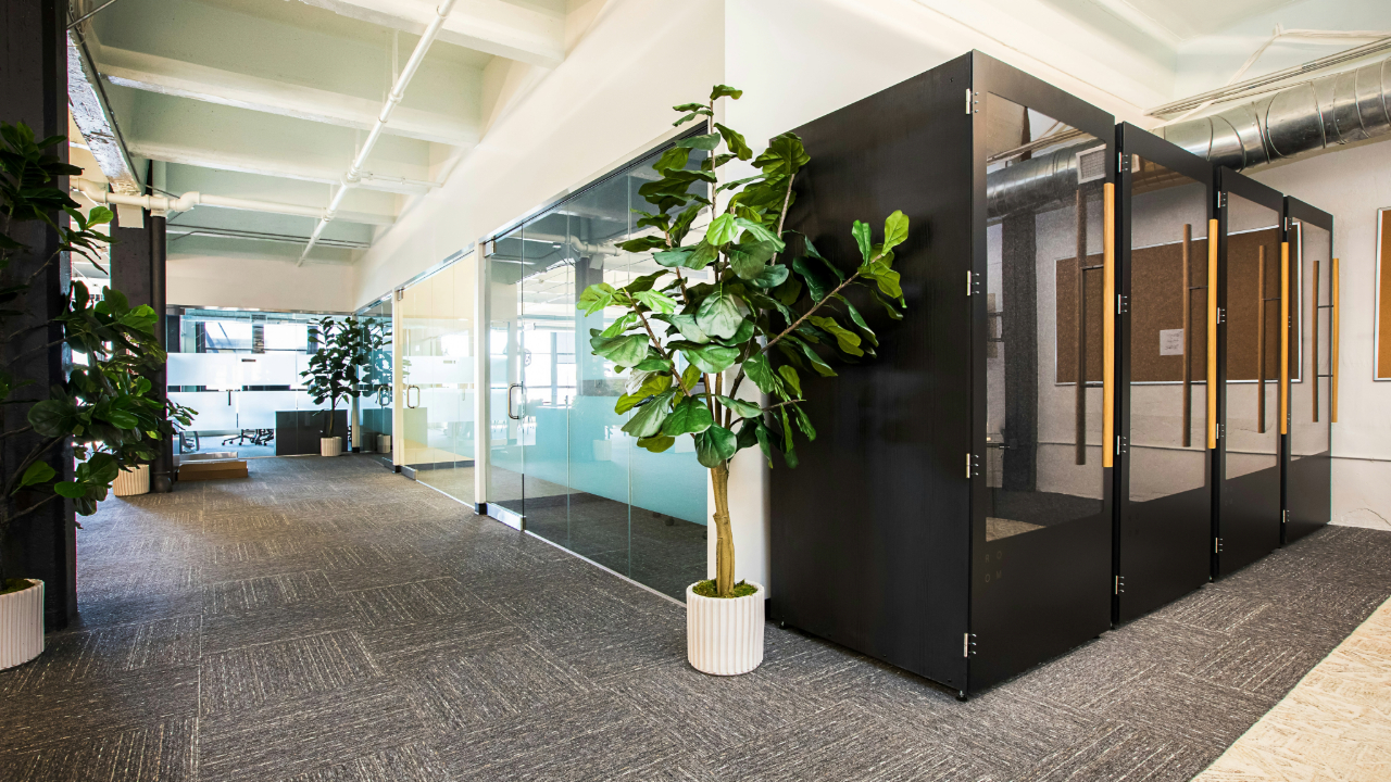Plantas para escritório com ar-condicionado